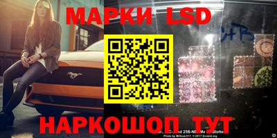 гидра Будённовск