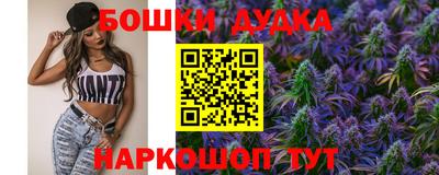 гидра Будённовск