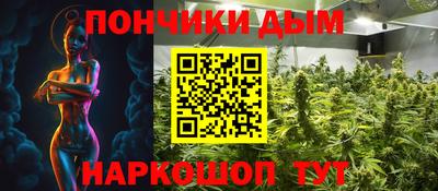 гидра Будённовск